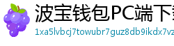 波宝钱包PC端下载